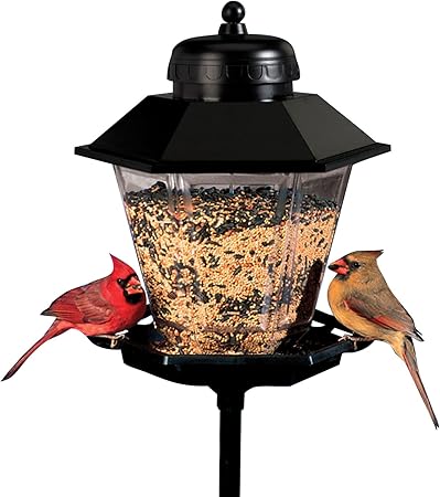 Amazon Com Cherry Valley Coach Lamp Bird Feeder Model 6200 Pet
