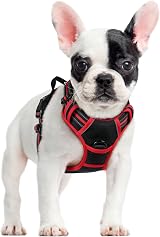 rabbitgoo Dog Harness Small No Pull Reflective Adjustable Vest with 2 Leash