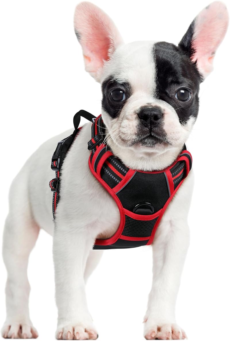 rabbitgoo Dog Harness Small No Pull Reflective Adjustable Vest with 2 Leash