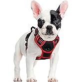 rabbitgoo Dog Harness, No-Pull Pet Harness with 2 Leash Clips, Adjustable Soft Padded Vest, Reflective No-Choke Pet Oxford Ve