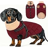 Queenmore Dog Coat, Dog Coats for Small Dogs, Doggy Winter Jacket with Zipper On Back, Waterproof Pet Jacket with Harness Built in, Pet Puffer Coat for Bichon, Schnauzer, Yorkie, Burgundy S