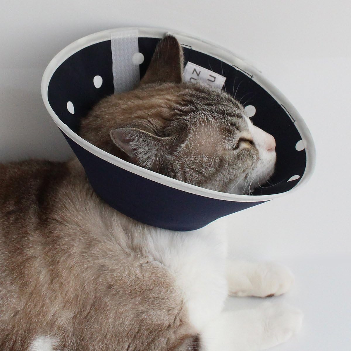 Amazon エリザベスカラー 猫 ソフト 柔らかい フェザーカラー 布スタンダード Ssロング ドット ネイビー Nekozuki エリザベスカラー 通販