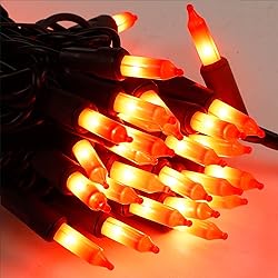 Halloween Lights, 33ft 150 Count Black Wire