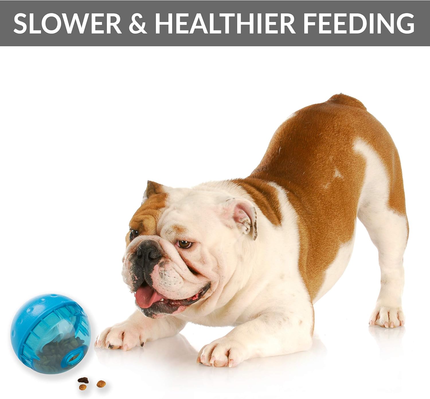 OurPets IQ Treat Ball Dog Toy, 4Inch BigaMart