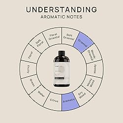 VINEVIDA [16 Fl Oz] Birthday Cake Fragrance Oil for