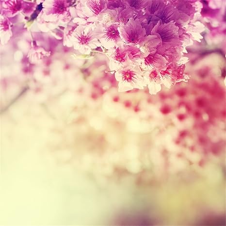 Amazoncom Aofoto 8x8ft Flower Blossoms Backdrop Spring Cherry