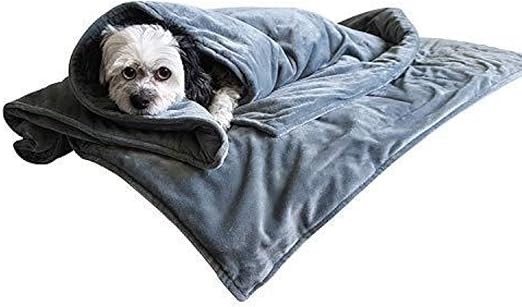 weighted blanket and pets