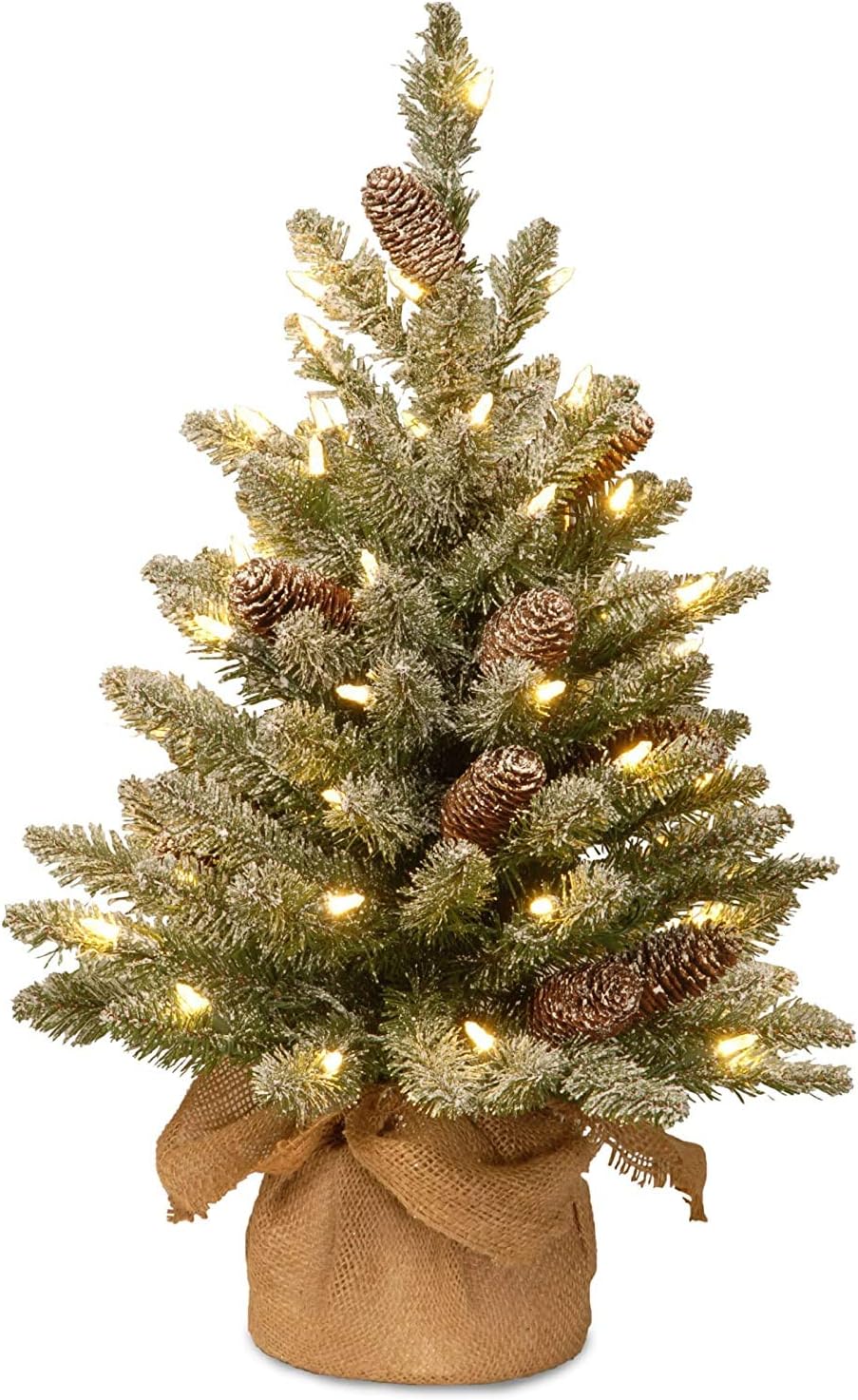 Trees - National Tree Company 2 ft Pre-Lit Flocked Mini Artificial Christmas Tree, 50 Clear LED Lights, 75 Tips, Pinecones, Burlap Base, Timer, Green