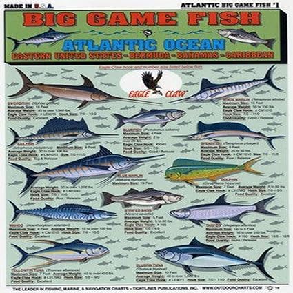 game fish