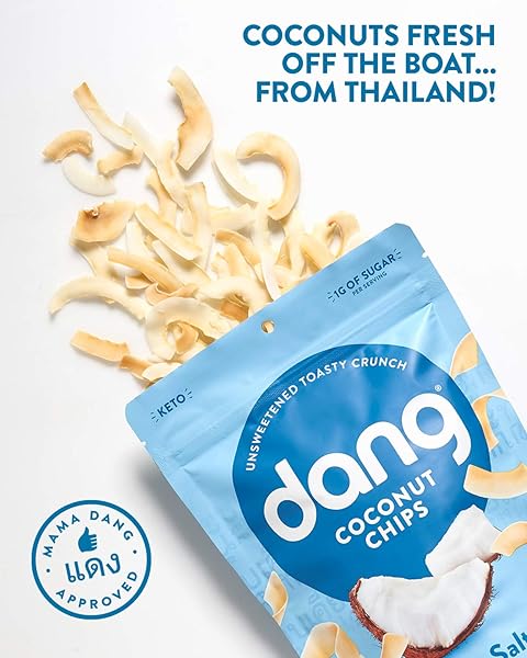 DANG KETO TOASTED COCONUT CHIPS | LIGHTLY SALTED UNSWEETENED | 1 PACK | KETO CERTIFIED, VEGAN, GLUTEN FREE, PALEO FRIENDLY, NON GMO, HEALTHY SNACKS MADE WITH WHOLE FOODS | 3.17 OZ RESEALABLE BAGS