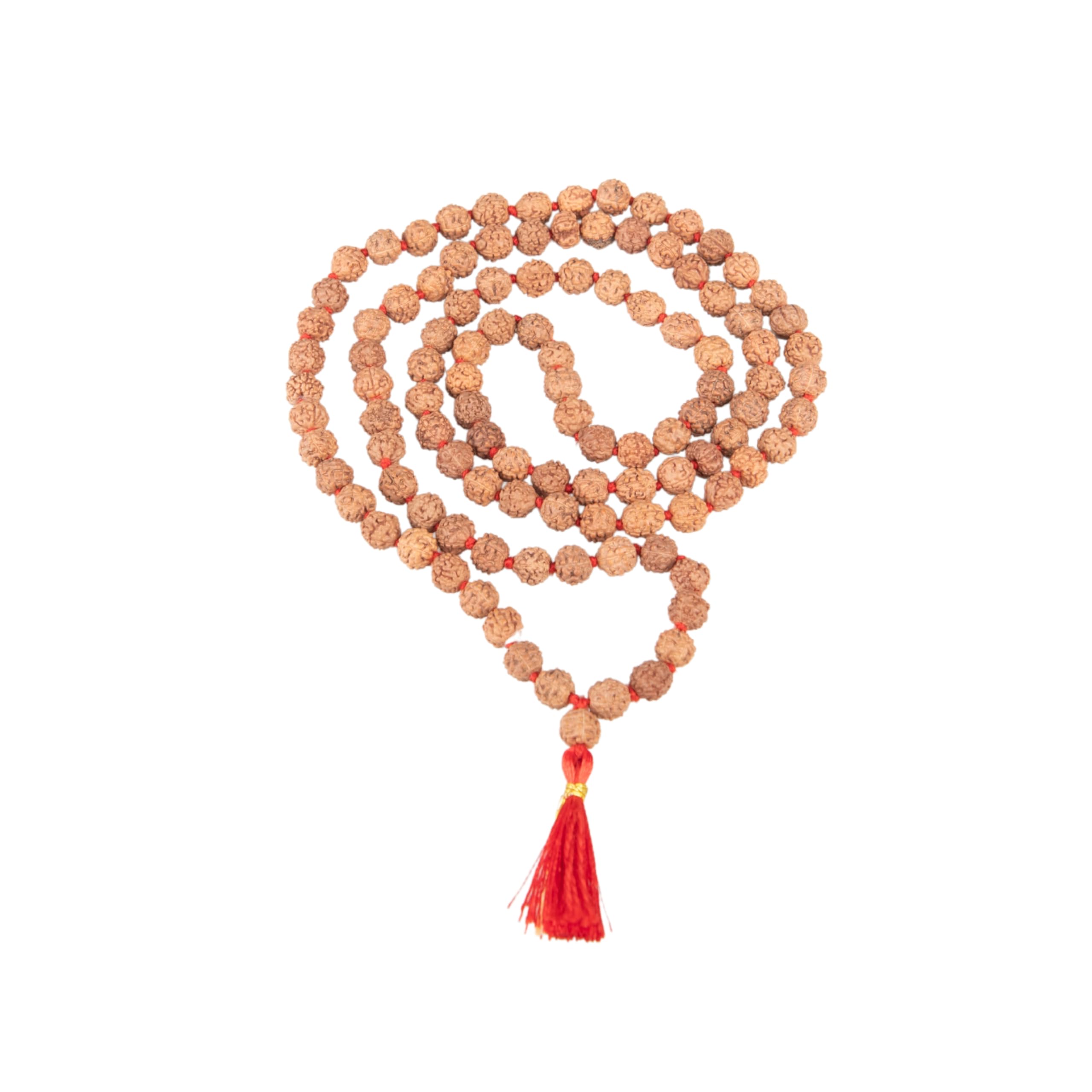 Wonder Care Authentic Rudraksha Mala-5 Face 108 + 1 Bead - Original Natural Rudraksha Seed Religious Japa Mala [6 mm - Pack of 5]