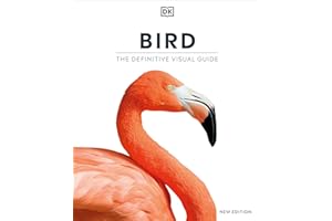 Bird, New Edition (DK Definitive Visual Encyclopedias)