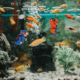 umorismo 2 Pcs Diver Floating Aquarium Decorations Balloons view 2