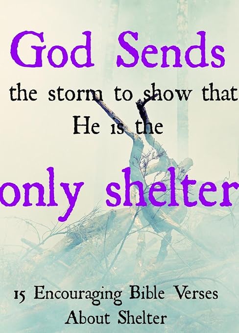 Amazon Gifts Delight ラミネートポスター 24x33 クリスチャン励ましes おもしろ励ましes キリスト教 アートフレーム ポスター オンライン通販