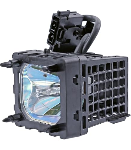 Amazon.com: NP07LP Replacement Projector lamp with Housing
