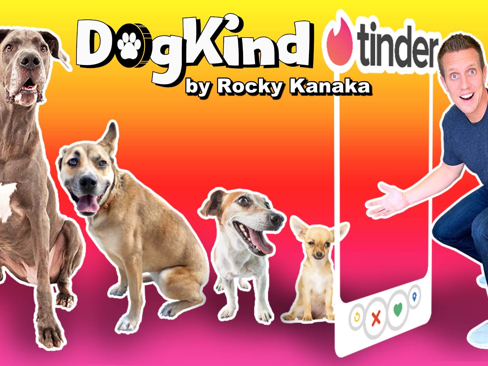 dogs day out rocky kanaka