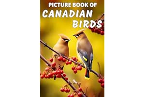 Picture Book of Canadian Birds: Colorful Extra-Large Print Bird Pictures with Names | A Gift/Present Book Idea for Alzheimer'