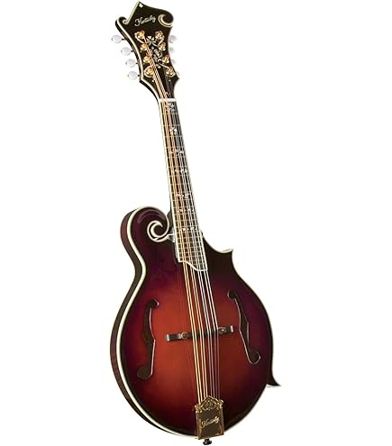 Amazon.com: Kentucky KM-252 Artist A-model Mandolin