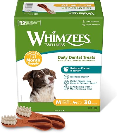 WHIMZEES Toothbrush M Month Box 30 Pieces Dog Dental Sticks Medium Breeds