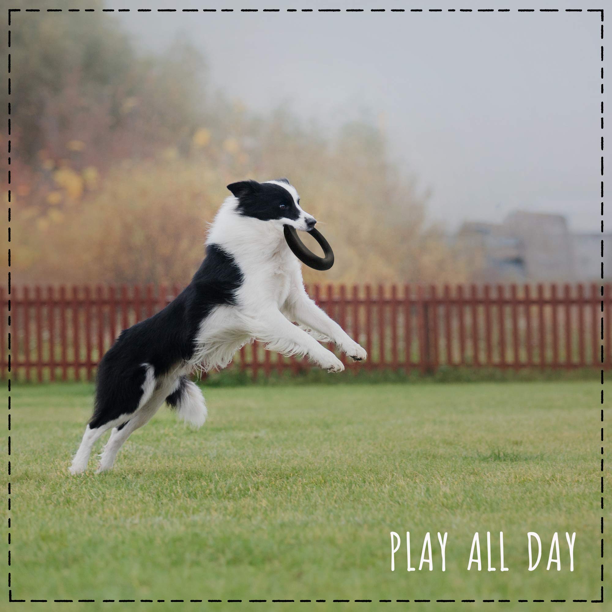 E-A-Y Dog Toys for Aggressive Chewers - Durable Chew Toy - Rubber Chew Toy for Dogs & Puppies & Tough Strong Durable Natural Rubber - 100% Safe & Non-Toxic & Stylish Gift Box !!!