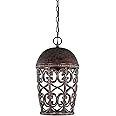 Designers Fountain 97594-BU Amherst Hanging Lantern, Burnt Umber