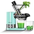 Kitchen in the box Juicer Machines, Small Cold Press Juicer for Single Serve, Slow Masticating Juicer Machine Vegetable and F