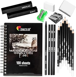 Zenacolor - Zeichen-Set - 19 Zubehörteile: 8 Bleistifte, 3 Kohlestifte, 1 Graphit Stift, 2 Kohlestäbe, 100-Seitiges Skizzenbuch - Anfänger oder Profi