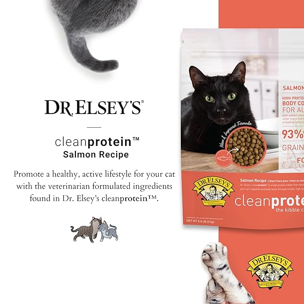 DR. ELSEY’S CLEANPROTEIN SALMON FORMULA DRY CAT FOOD, 6.6 LB