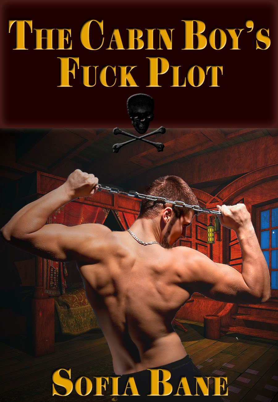 The Cabin Boy S Fuck Plot Gay Pirate Rough Sex Menage Ebook
