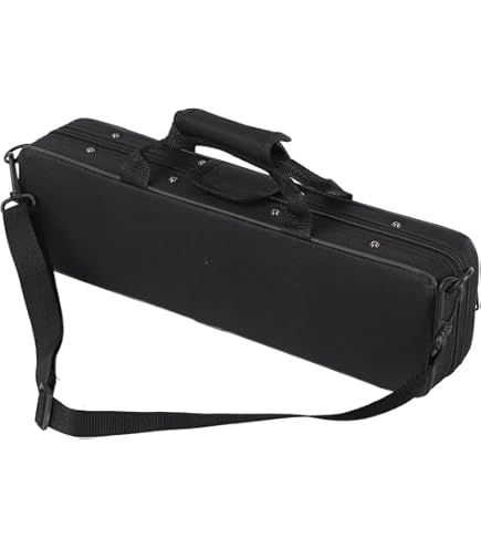 Mizutani Flute 本体 ケース付き Mizutani Flute 本体 ケース付き