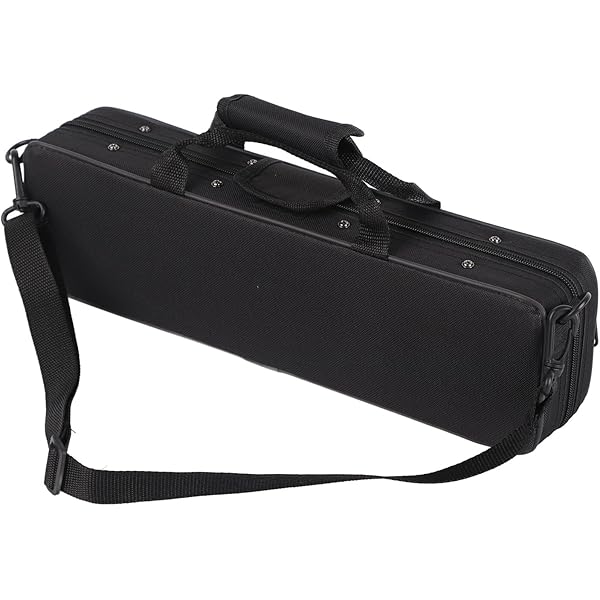 Amazon.com: Walfront 16 Holes Flute Cases Oxford Cloth