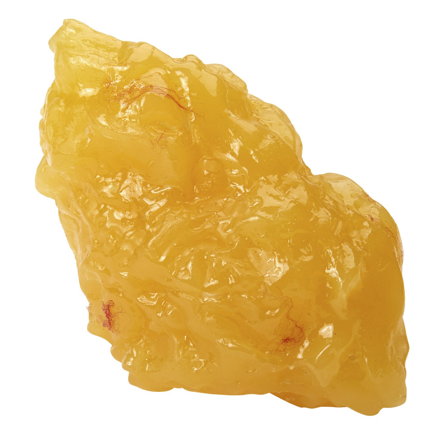 Nasco WA14533 Human Body Fat Replica, 1 lb. Buy Online in UAE