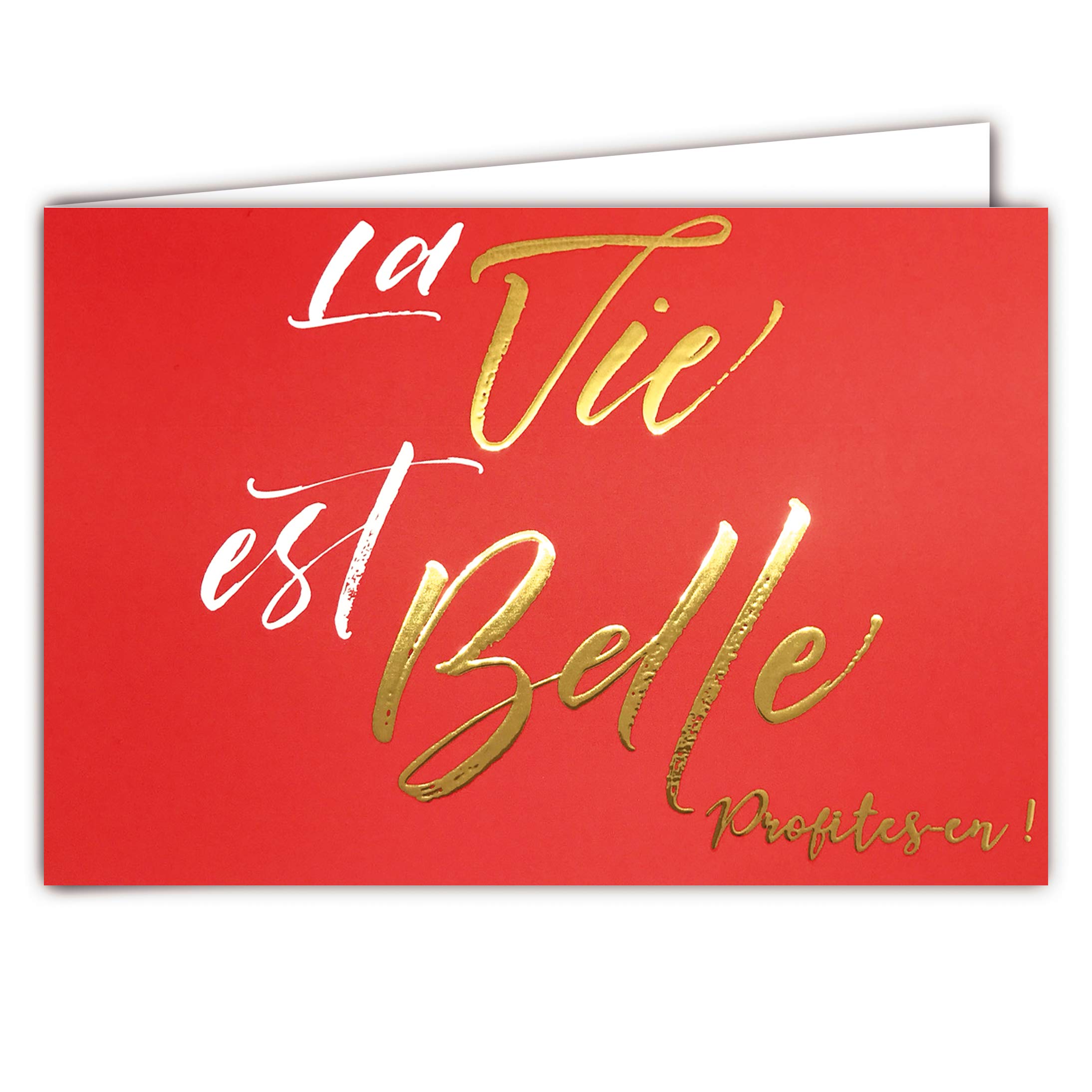 Afie 69-5106 Card "La Vie Est Belle" ("Life is Beautiful") Shiny Gold Words on Coral Background 17 x 11.5 cm Delivered with Envelope