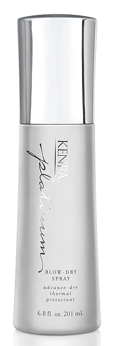 The Best Revive Beauty Blow Dryer