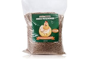 LuckyQworms Bulk Mealworms 11Lbs, High-Protein Dried Mealworms, 100% Non-GMO Mealworm Treats for Birds, Chickens, Turtles, Fish, Hamsters and Hedgehogs All Natural Animal Feed