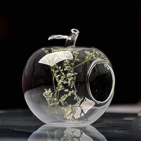 TIED RIBBONS Hanging Planters Glass with Hanging String Set of 4