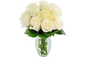 KaBloom PRIME NEXT DAY DELIVERY - Fall Collection - Bouquet of 12 Fresh White Roses (Farm-Fresh, Long-Stem) with Vase. Gift for Birthday, Thank You, Valentine, Mother’s Day Fresh Flowers
