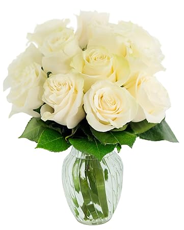 Amazon Com Kabloom Bouquet Of 12 Fresh White Roses Farm Fresh