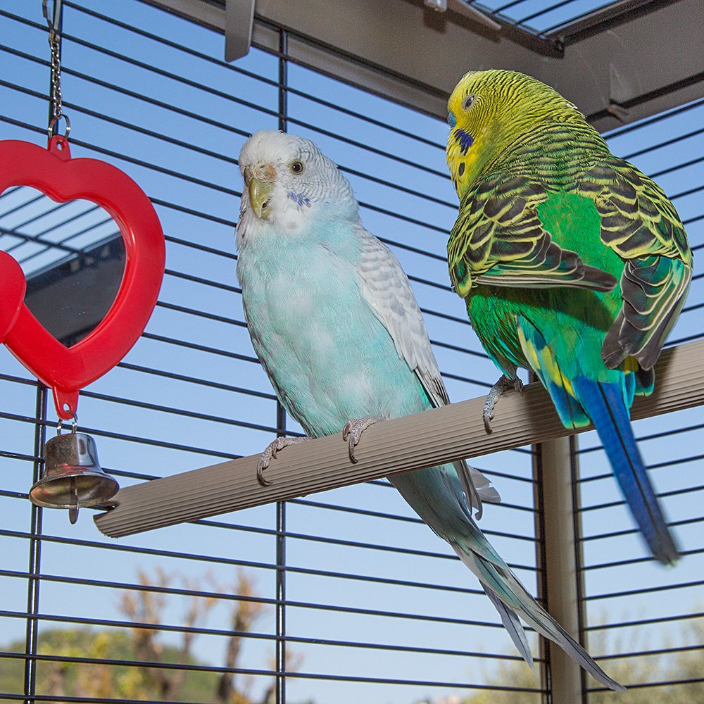 ferplast piano 6 bird cage