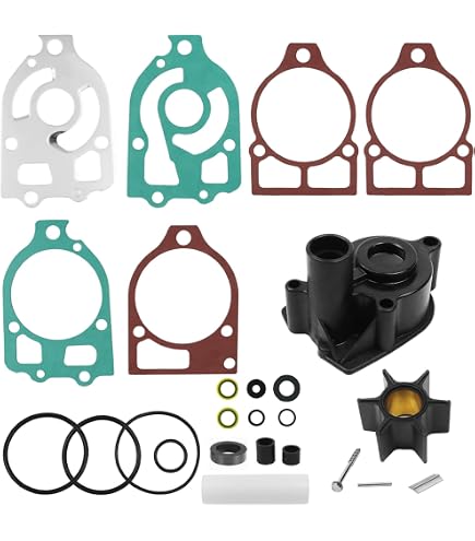 Amazon.com: AMRS-18-3217 * Sierra 18-3217 Impeller Kit Replaces 46