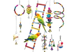 EBaokuup 10 Packs Bird Swing Chewing Toys- Parrot Hammock Bell Toys Parrot Cage Toy Bird Perch with Wood Beads Hanging for Small Parakeets, Cockatiels, Conures, Finches,Budgie,Parrots, Love Birds