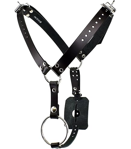Amazon.com: Anal Plug Harness with Cock Ring : Health & Household