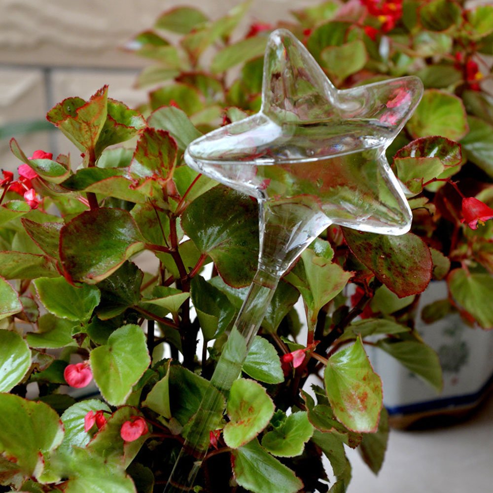 Coscosx 4 Pcs Large Star Bird Shaped Automatic Watering Device Globes Vacation Houseplant Plant Pot Bulbs Garden Waterer Flower Water Drip Irrigationdevice Self Watering System Gardening Pots Planters Container Accessories