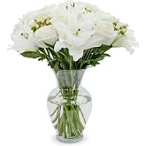 Stargazer Barn White Royale Rose Bouquet - Vase Included | Fresh Cut Flower Delivery, Hand-Tied in the USA, Gift for Birthday, Anniversary, Sympathy or Home Decor
