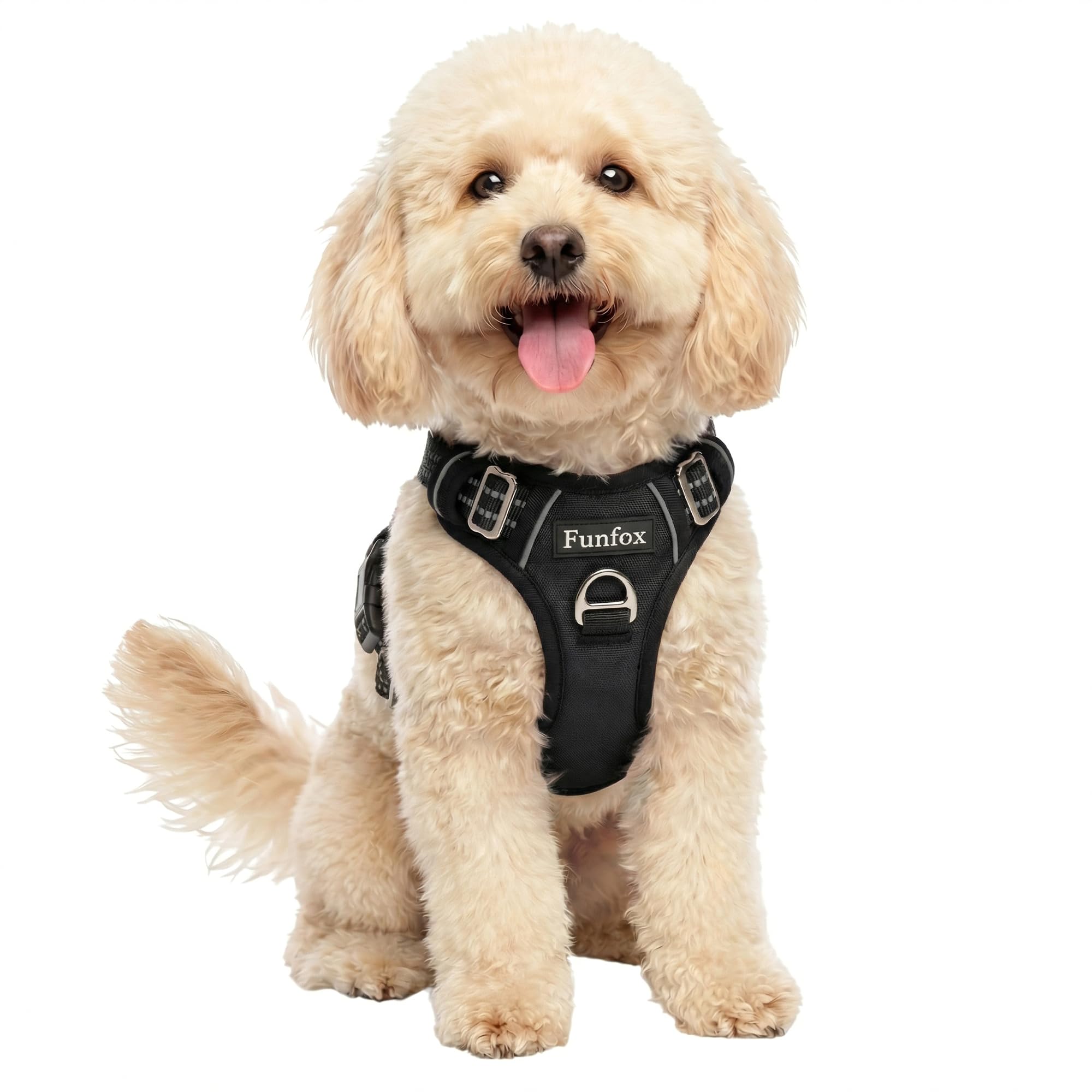 Funfox Dog Harness Small, No Pull Puppy Harness with Vertical Handle, 2 Leash Clips, Reflective Strips Night Walking, Anti Pull Adjustable Padded Pet Vest Size for Small Breed, Black S — image 1