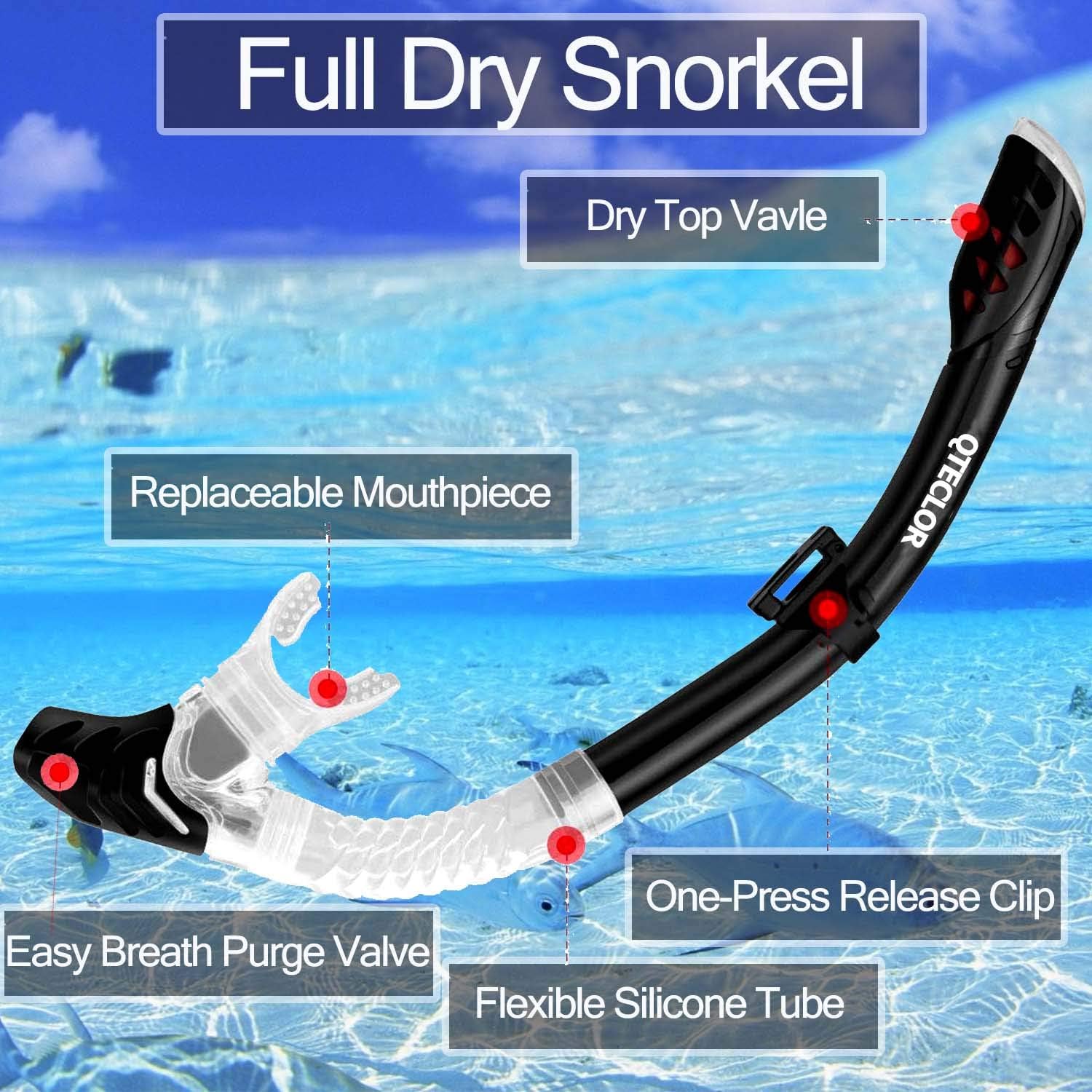 Dry Snorkel Set and Mask Kids Adults Anti Fog 180 Degree Seaview with