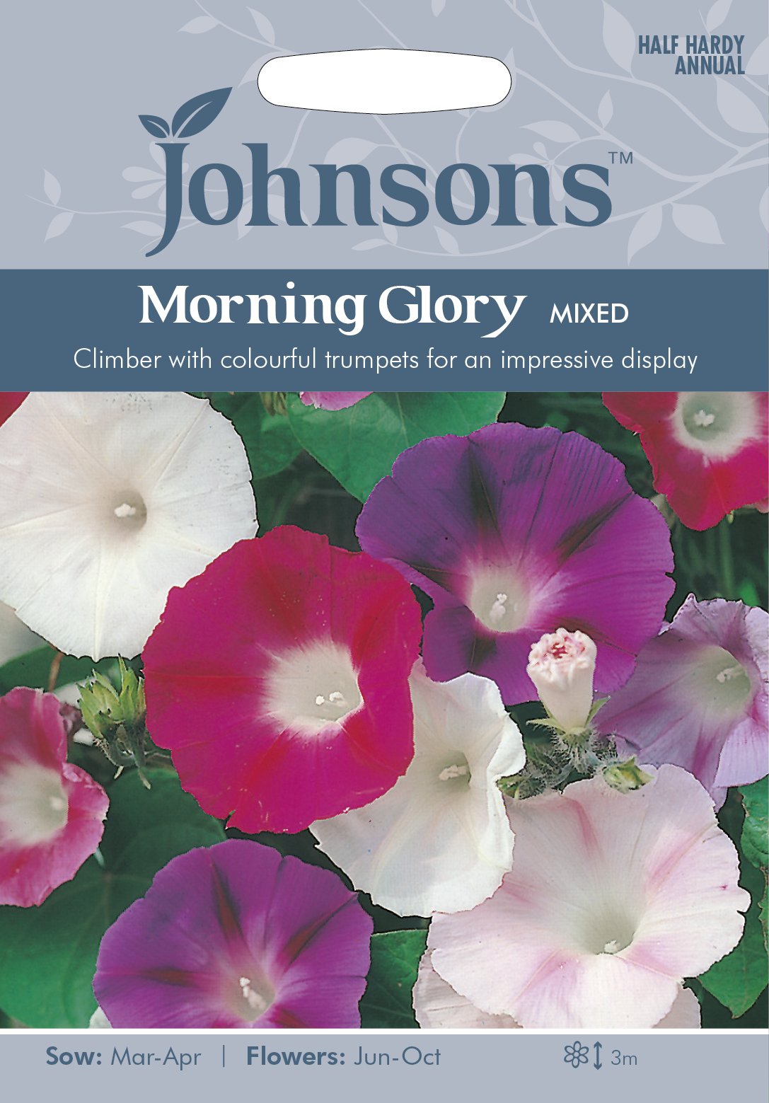 Johnson's Morning Glory Mixed