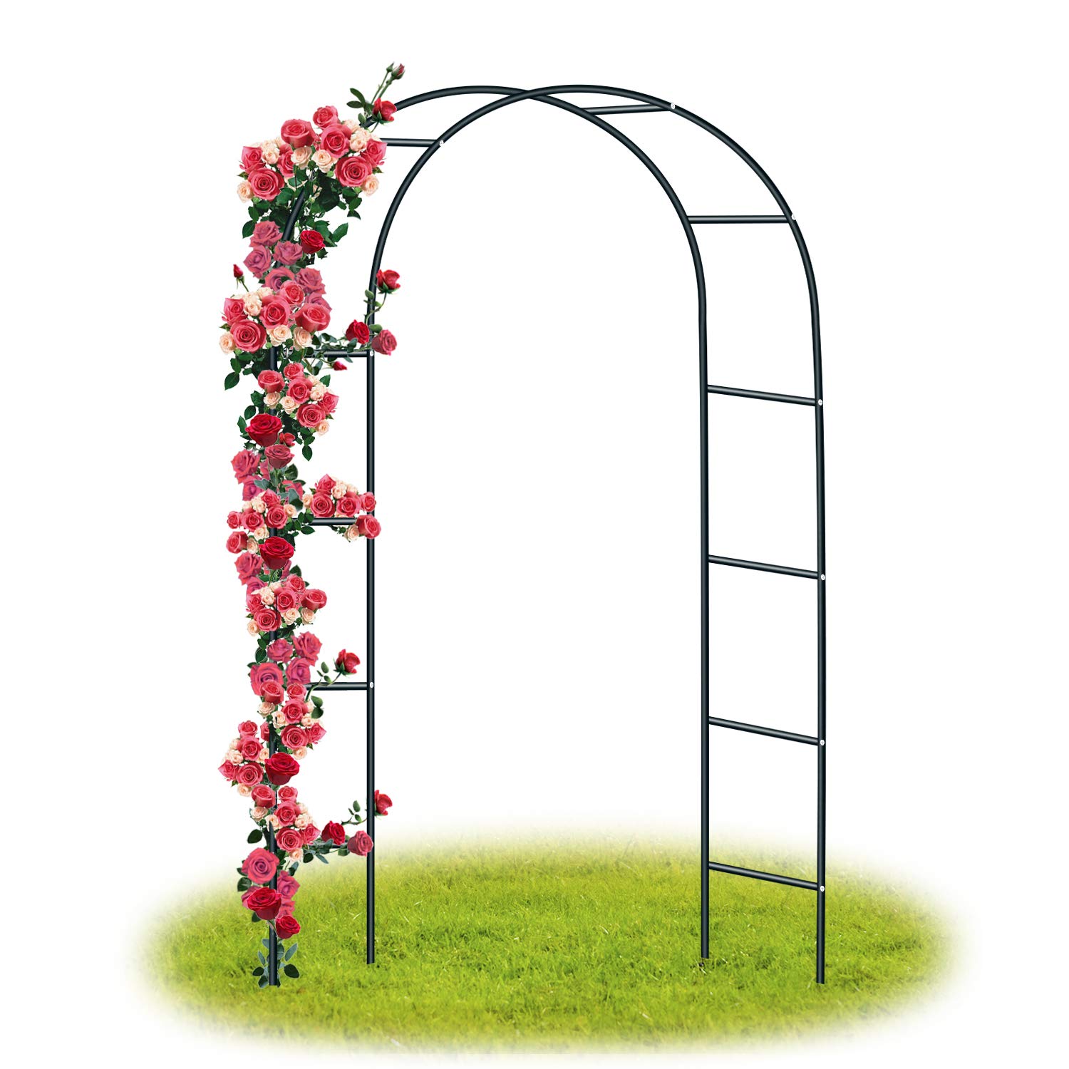 Forever Speed Steel Frame Garden Arch/Rose Arch for Roses Climbing Plants Support Archway Garden/Wedding Decoration 240 cm x 140 cm x 38 cm, Black