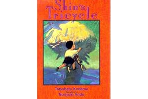 Shin's Tricycle