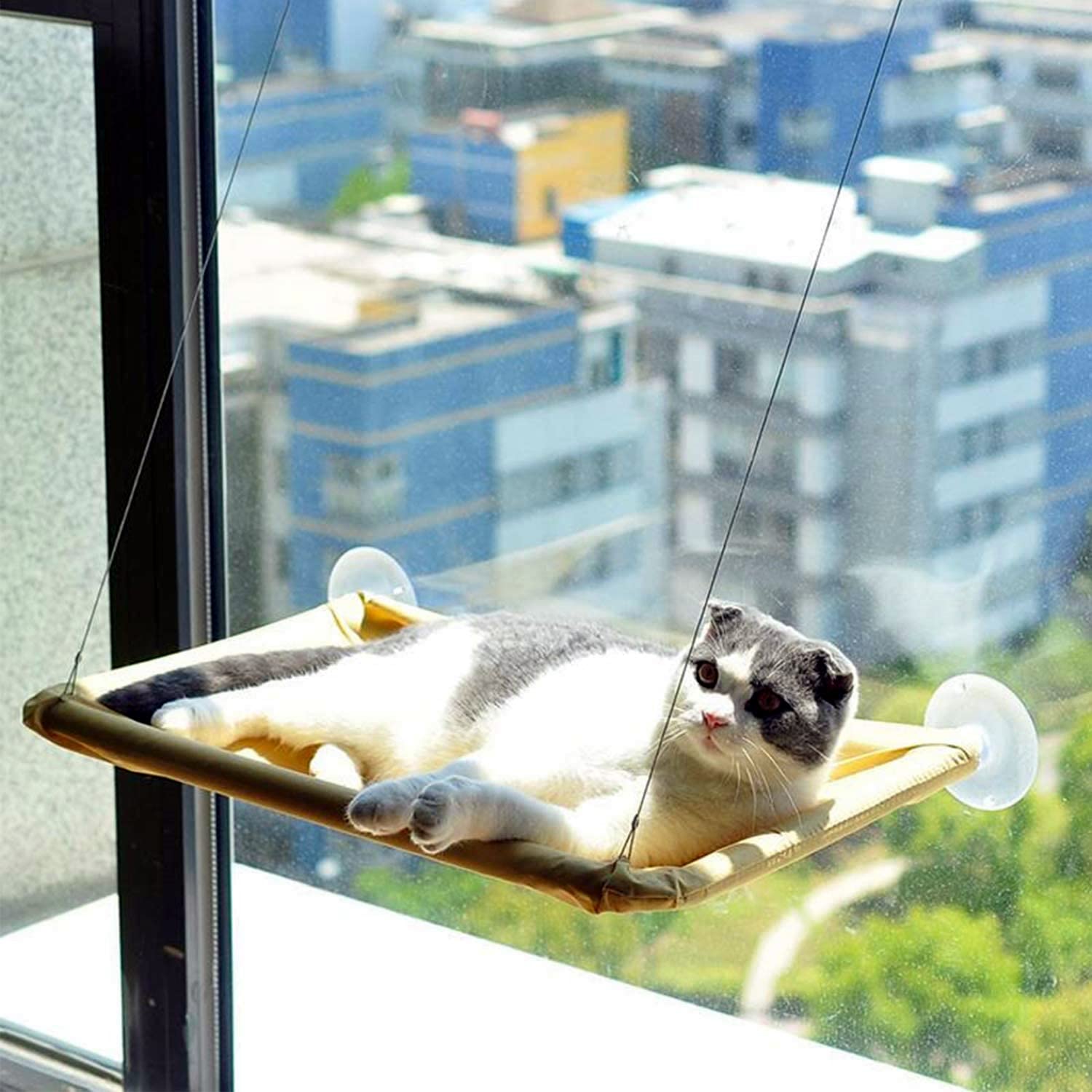 LATRAT Cat Hammock Window Cat Hammock with Improved Suction Cups, Weight Capacity Approximately 15 kg (55 x 35 cm)